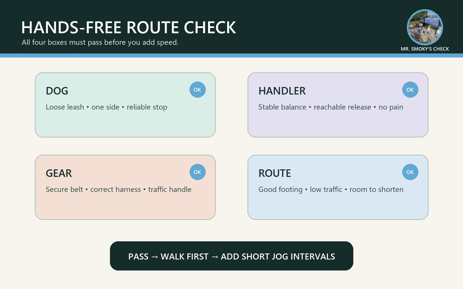 Hands-free dog leash route check for walking, running, traffic, and control featuring Mr. Smoky
