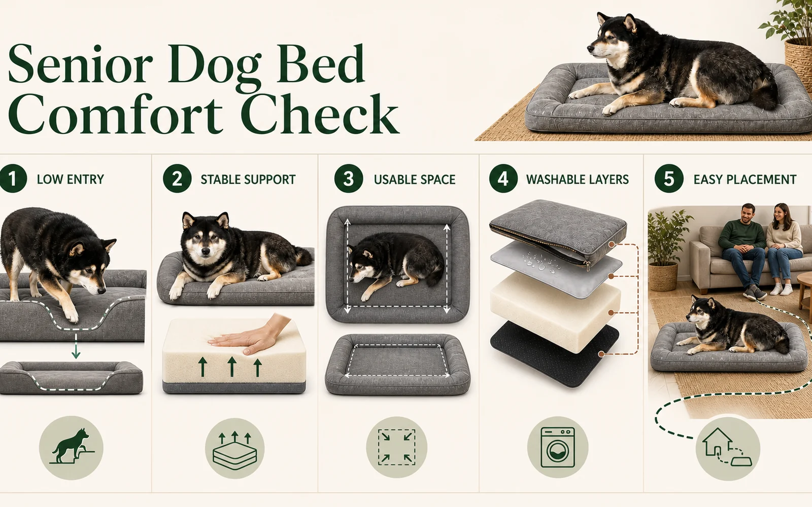 Senior dog bed comfort checklist featuring Mr. Smoky and five buying checks: low entry, stable support, usable space, washable layers, and easy placement.