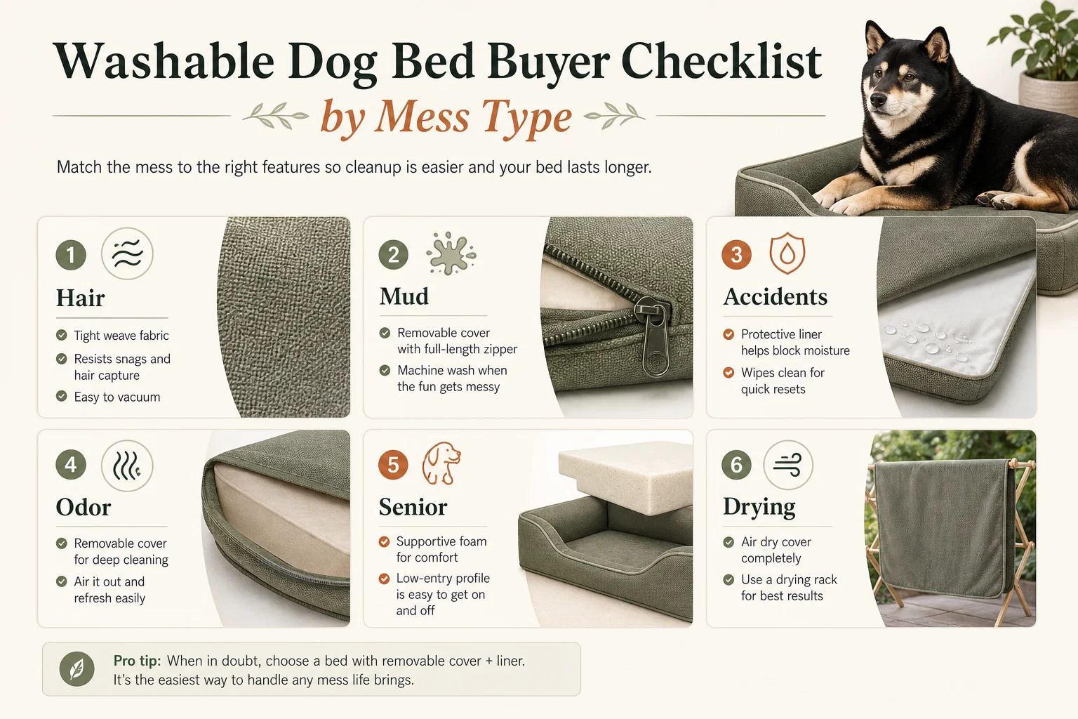 Infographic checklist matching washable dog bed features to hair, mud, accidents, odor, senior dogs, and drying needs.